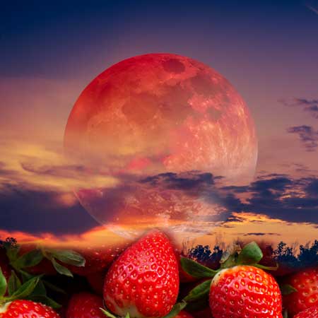 Strawberry Super Moon