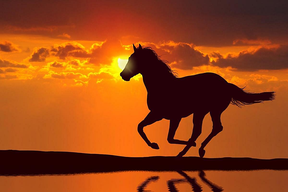 Click here to see a larger picture.