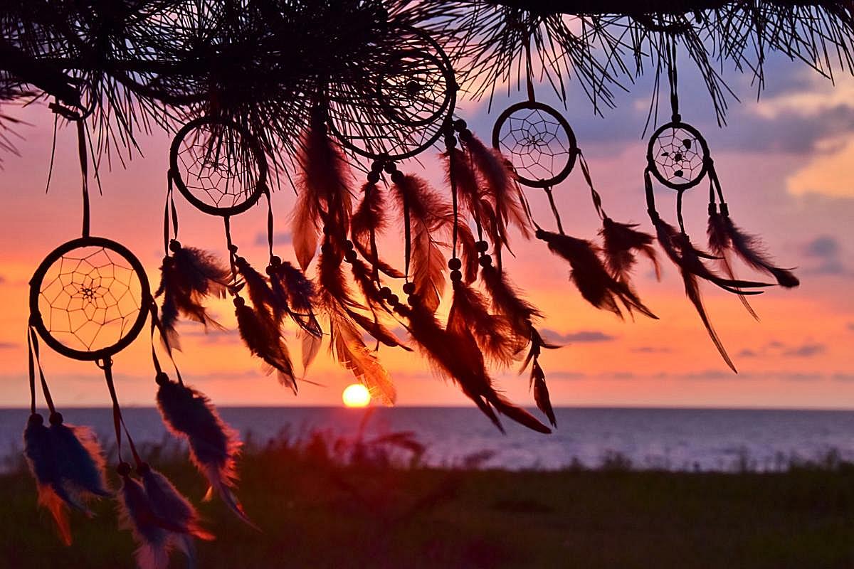 Daily Illustration